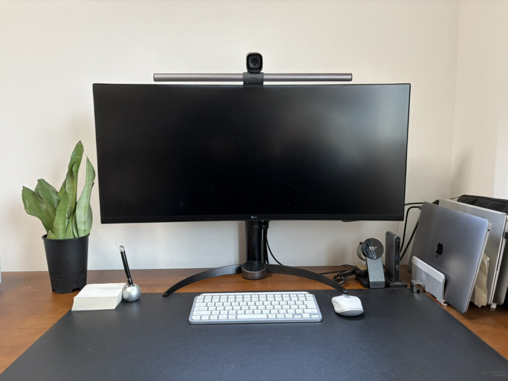 desk-on-sanseveliamoonshine