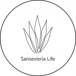 サンスベリアライフ運営人