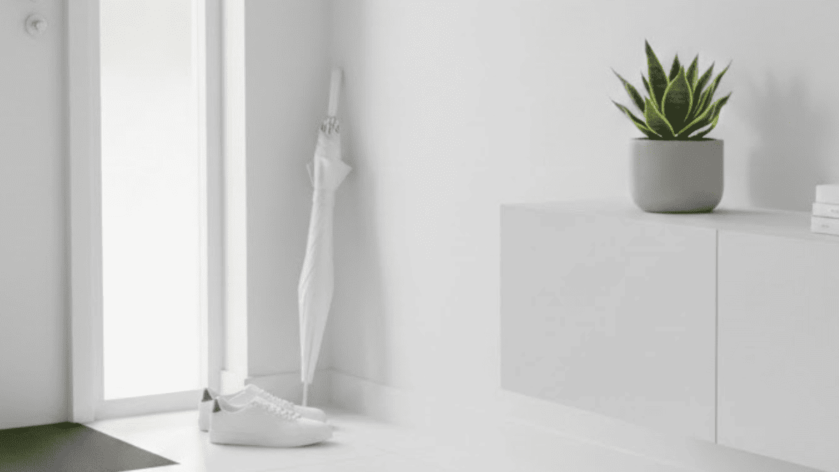 サンスベリアを玄関に置く風水効果とメリット｜暗い場所での育て方やおすすめ品種を解説