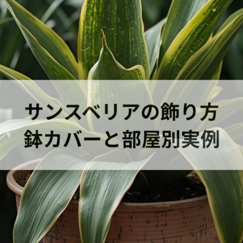 サンスベリアのおしゃれな飾り方｜鉢カバー選びと部屋別インテリア実例