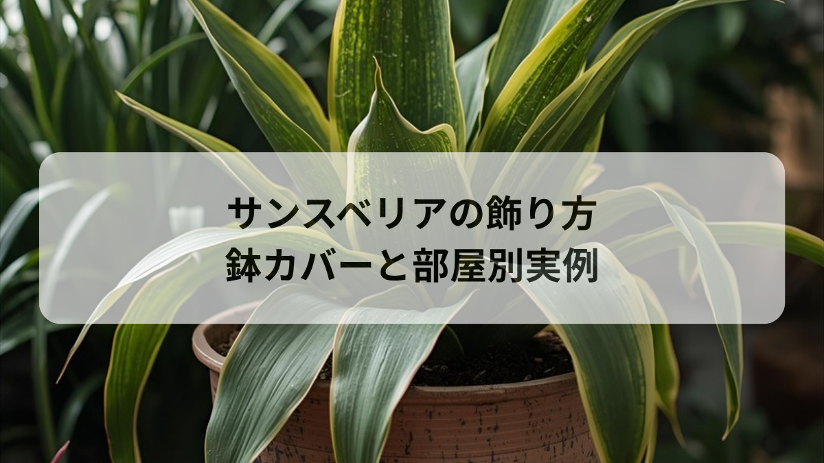 サンスベリアのおしゃれな飾り方｜鉢カバー選びと部屋別インテリア実例
